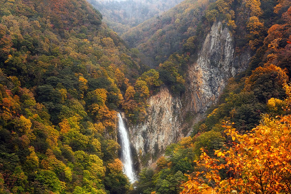 Photograph by Сергей Алимов