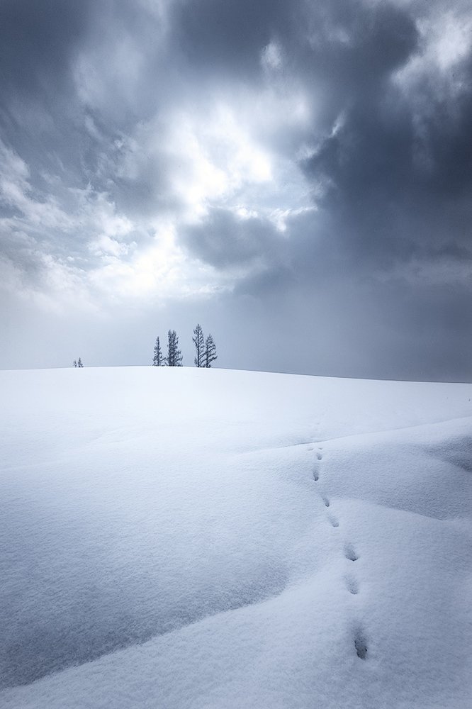 Photograph by Сергей Алимов