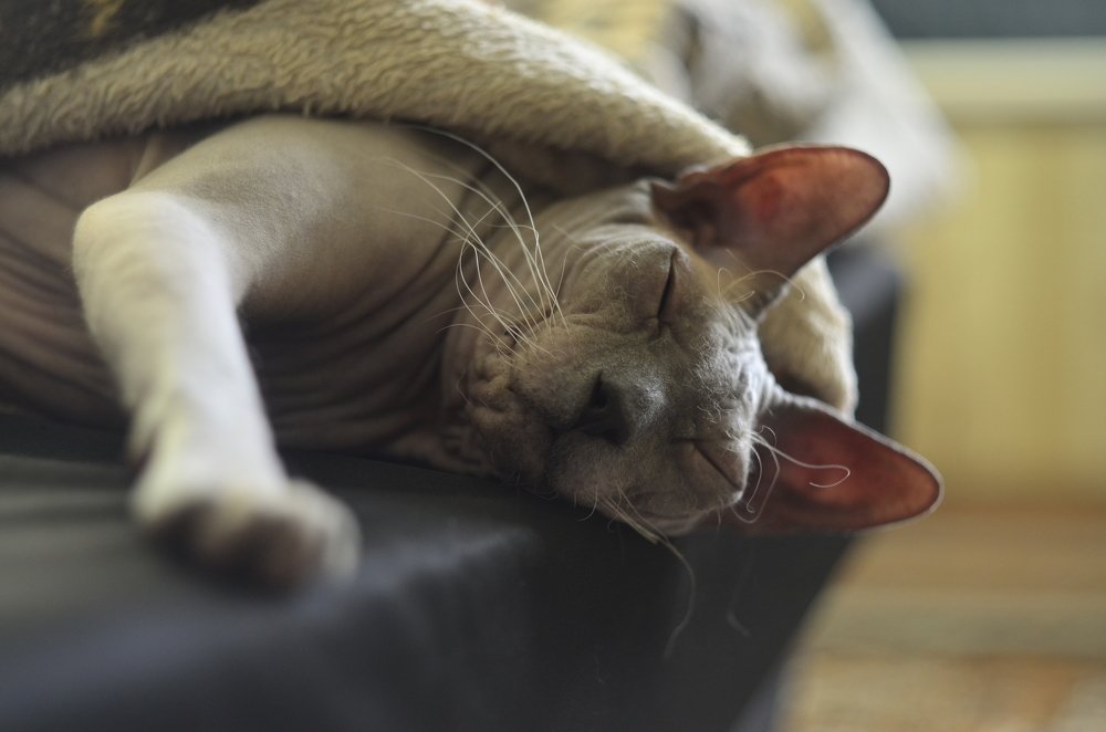 Утро понедельника у всех разное