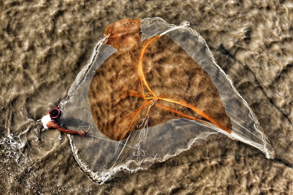 Photograph by DIBAKAR ROY