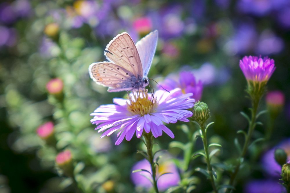 Photograph by Артём Буц