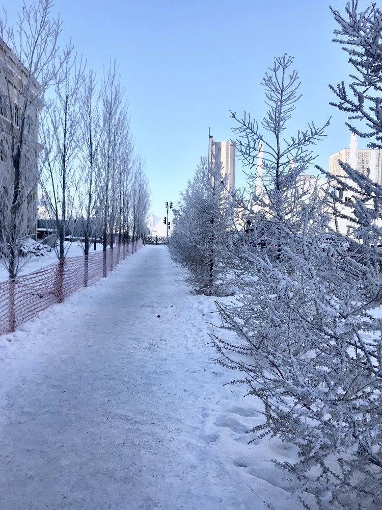 Photograph by Анар Амирова