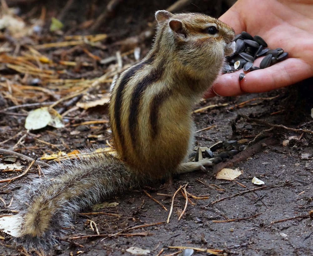 Photograph by Ксения Лычак