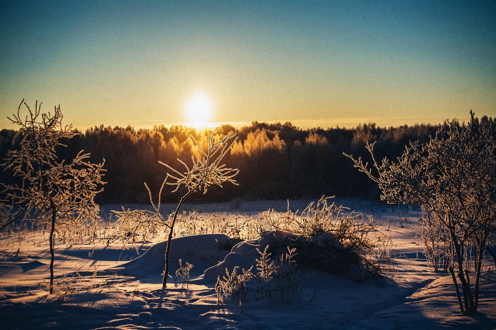 Photograph by Ольга Мурзина