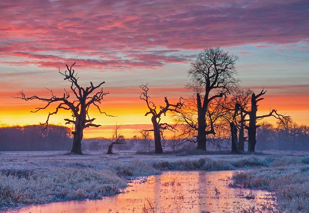 Photograph by MARIAN SKAPSKI