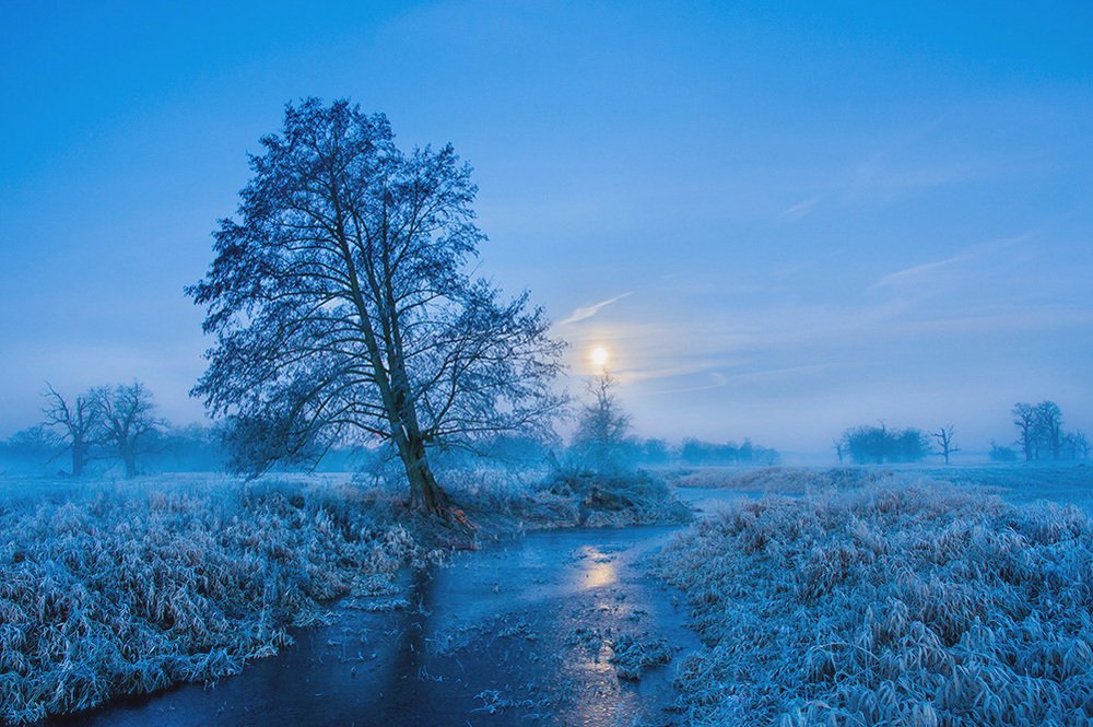W księżycowej poświacie