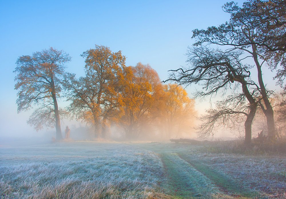 Photograph by MARIAN SKAPSKI