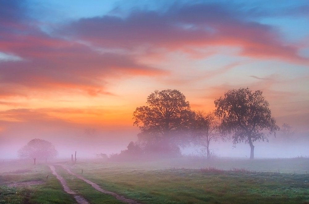 Photograph by MARIAN SKAPSKI