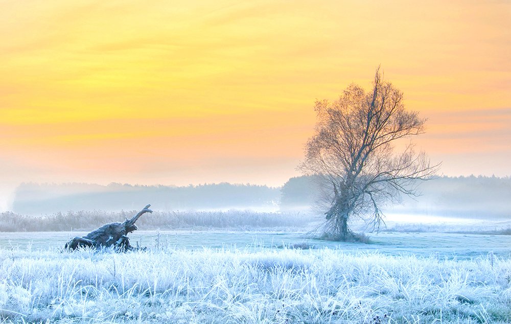 Photograph by MARIAN SKAPSKI