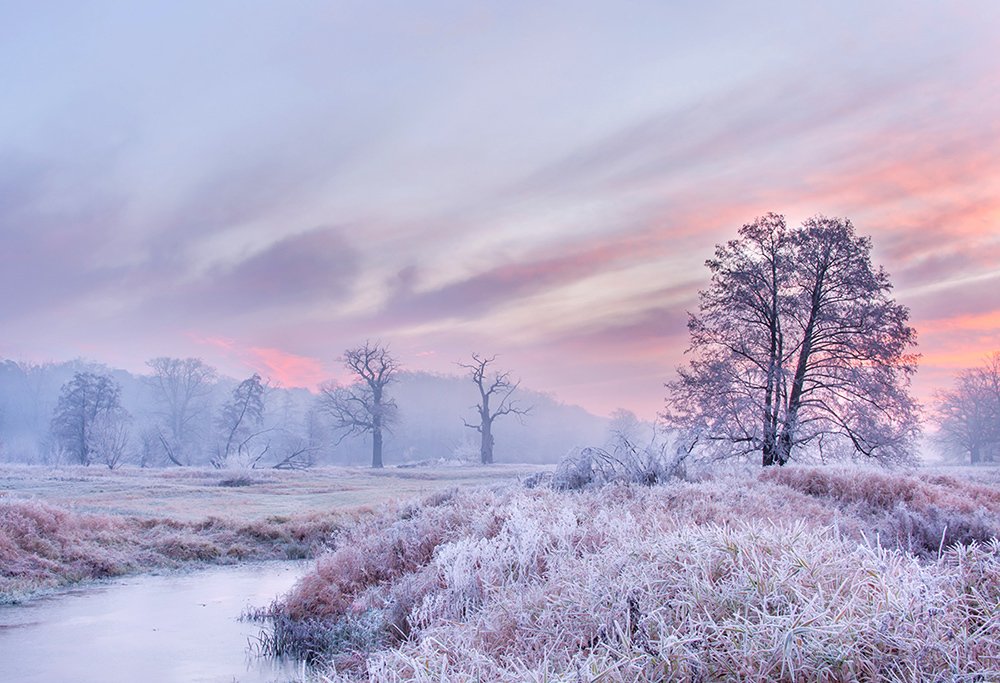 Photograph by MARIAN SKAPSKI