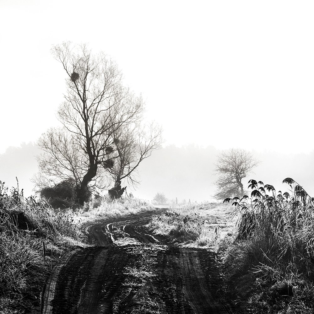 Photograph by MARIAN SKAPSKI