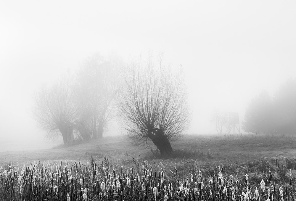 Photograph by MARIAN SKAPSKI