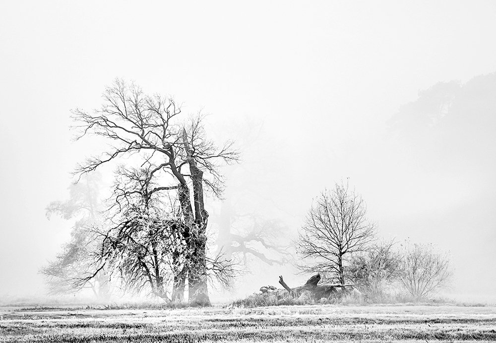 Photograph by MARIAN SKAPSKI