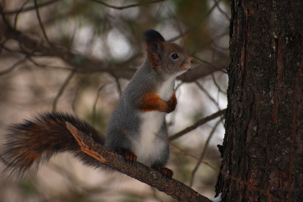 Photograph by Наталья Аржинт