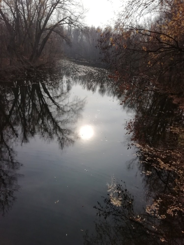 Photograph by Марина