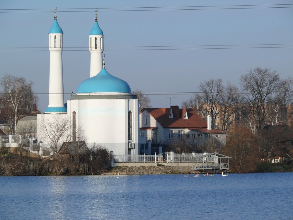 Лебеди полетели в тёплые края.