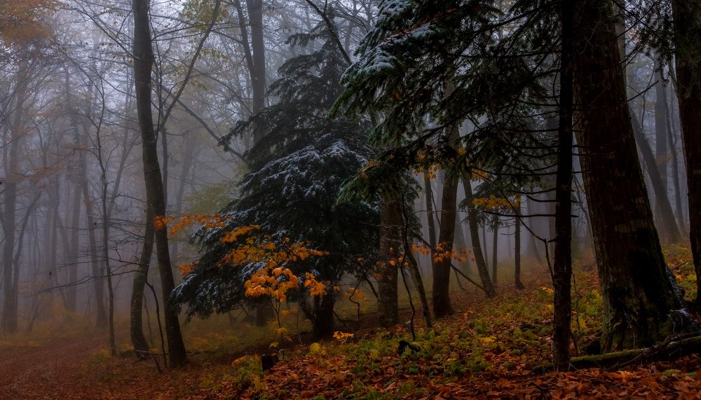 Photograph by Олег Скан