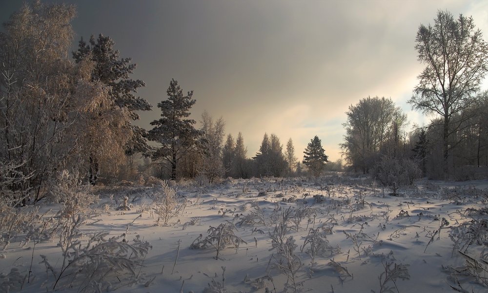 Photograph by Александр Попов