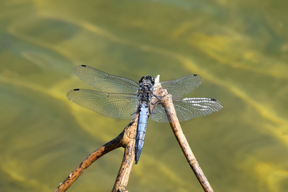 Photograph by Татьяна Мельник