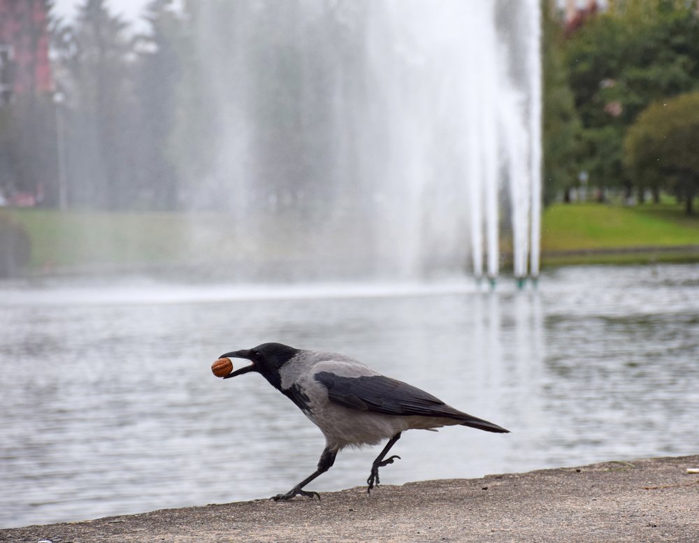 Photograph by Татьяна Мельник