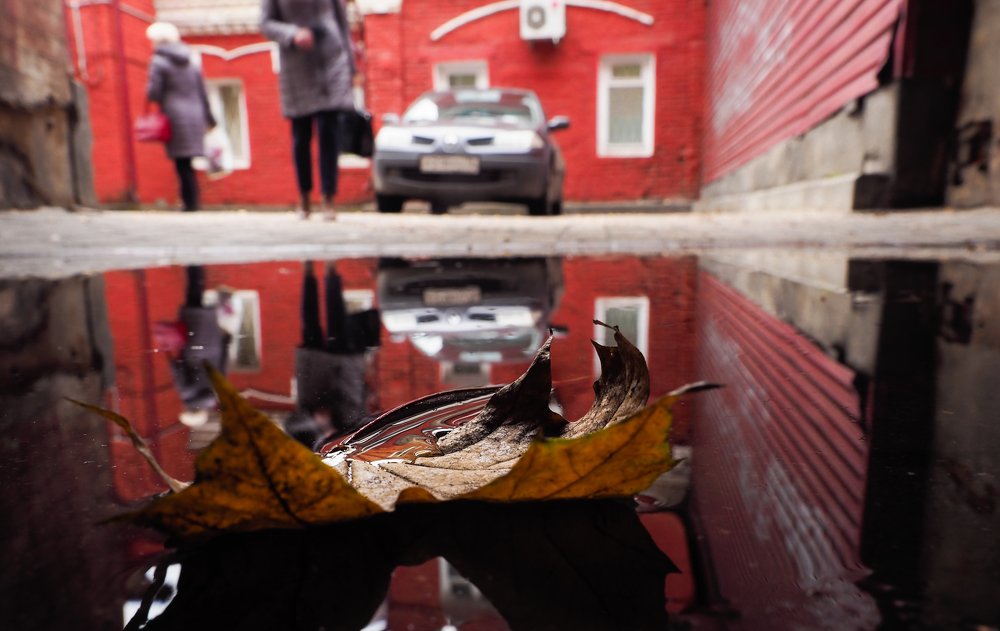 Осенний двор.