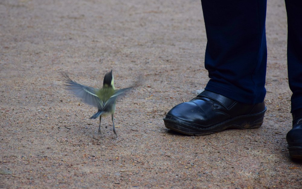 Photograph by Татьяна Мельник