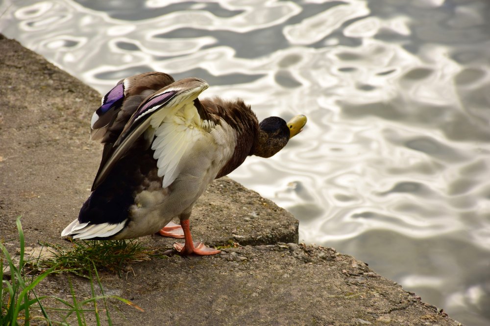 Photograph by Татьяна Мельник