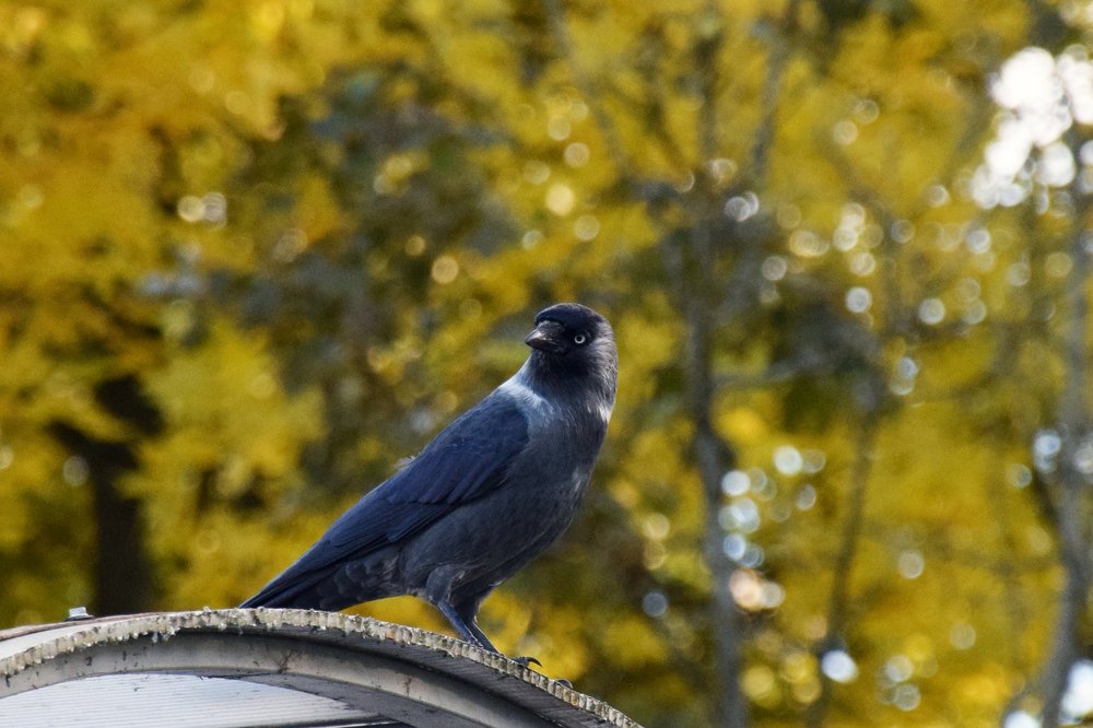 Photograph by Татьяна Мельник