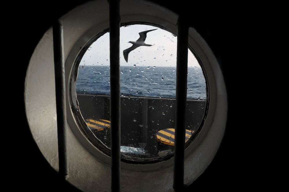 Photograph by Anatoly Biryukov