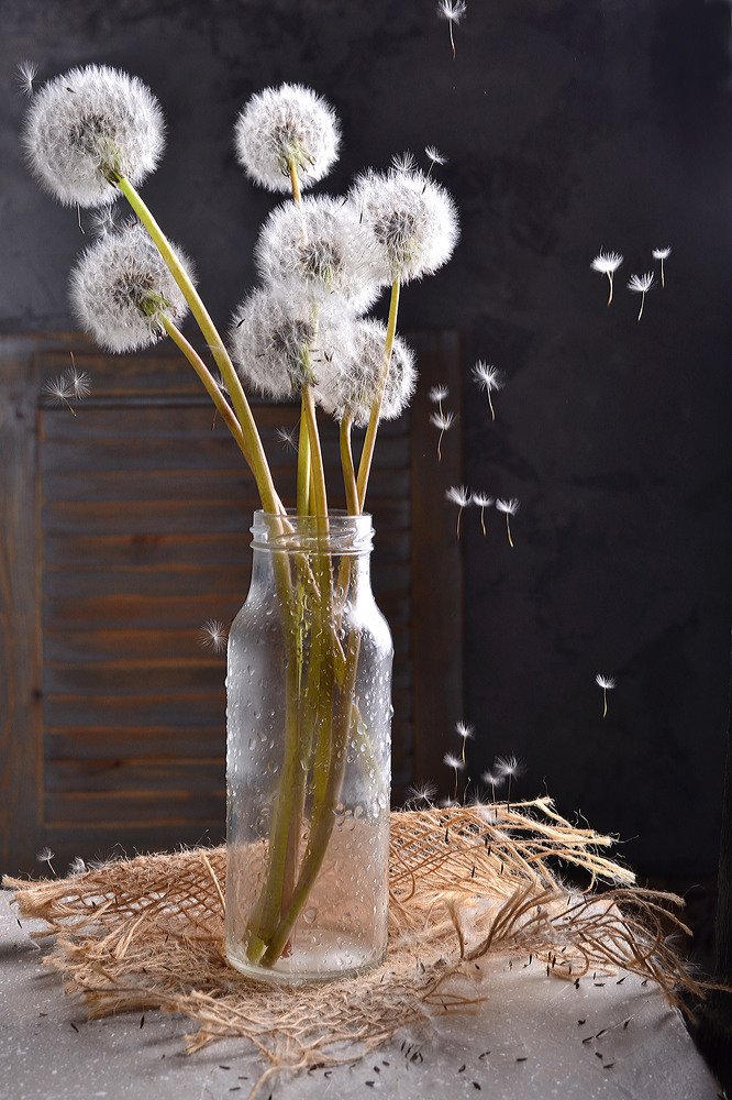 Photograph by Анжелика Овчинникова