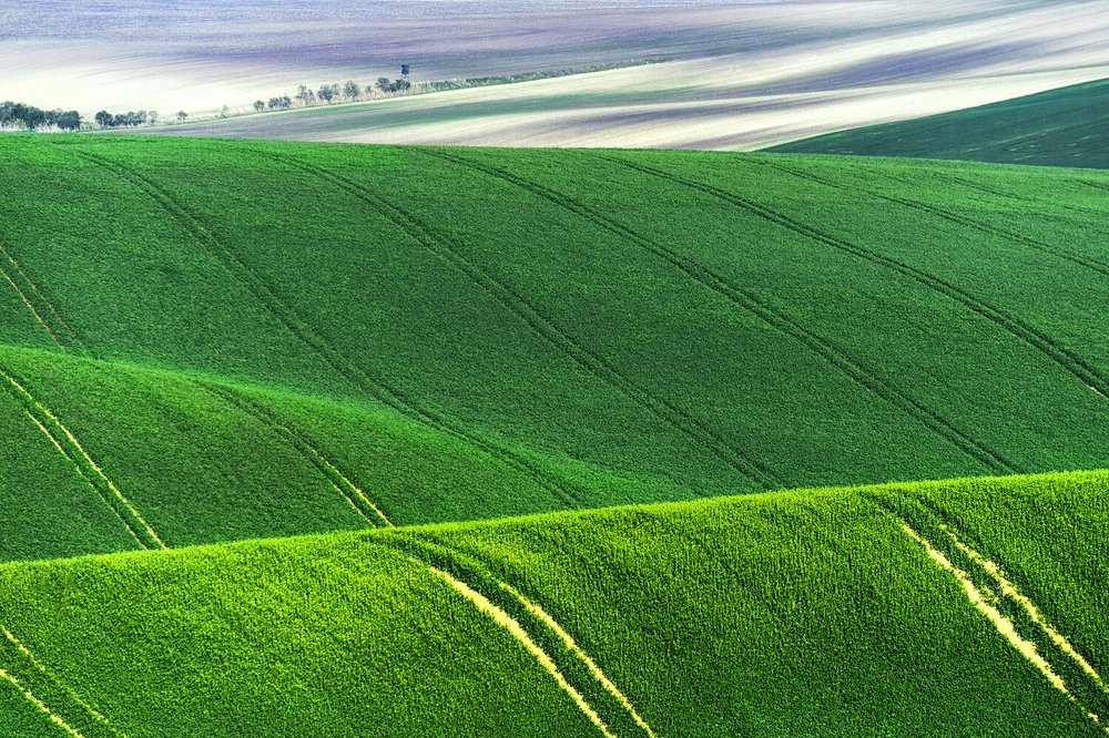 Photograph by Крицак Ольга