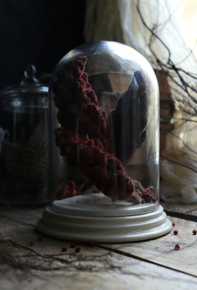 Photograph by Анастасия