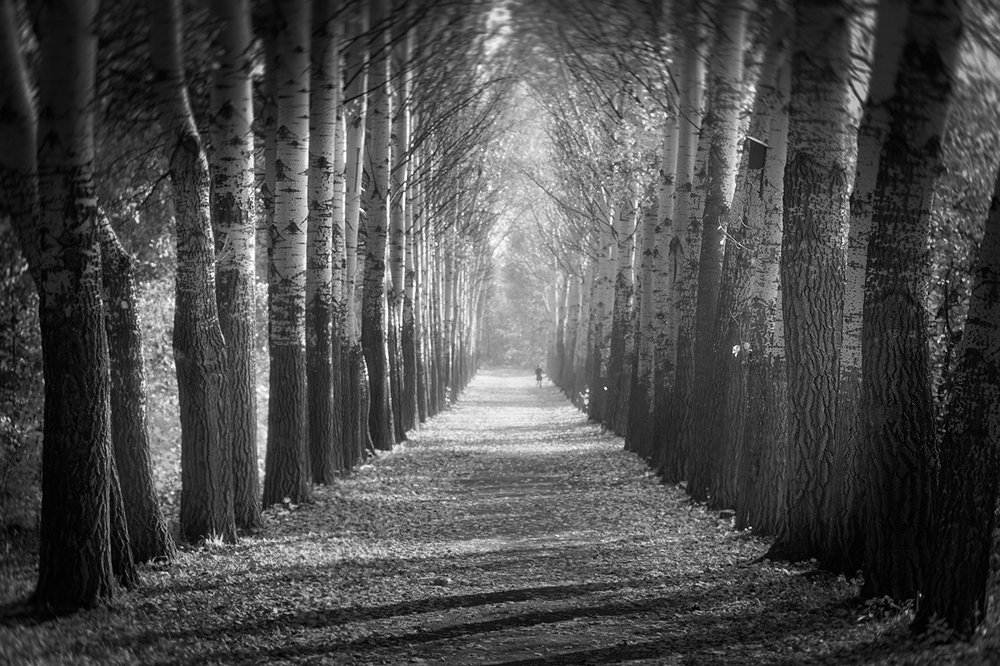 Photograph by Алексей Родак