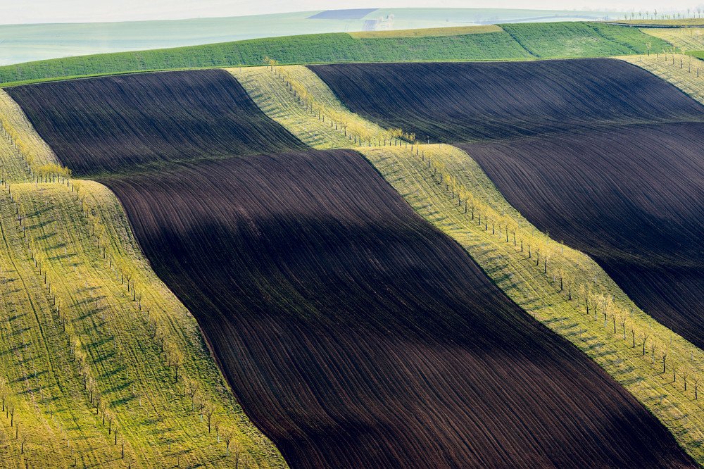Photograph by Крицак Ольга