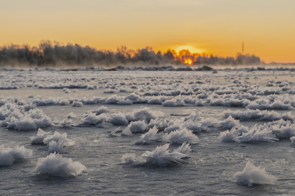Фотография автора Галина Луценко