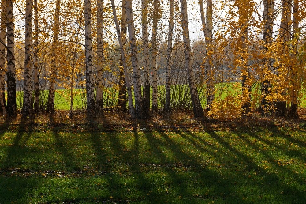 Осенние лабиринты отражений...