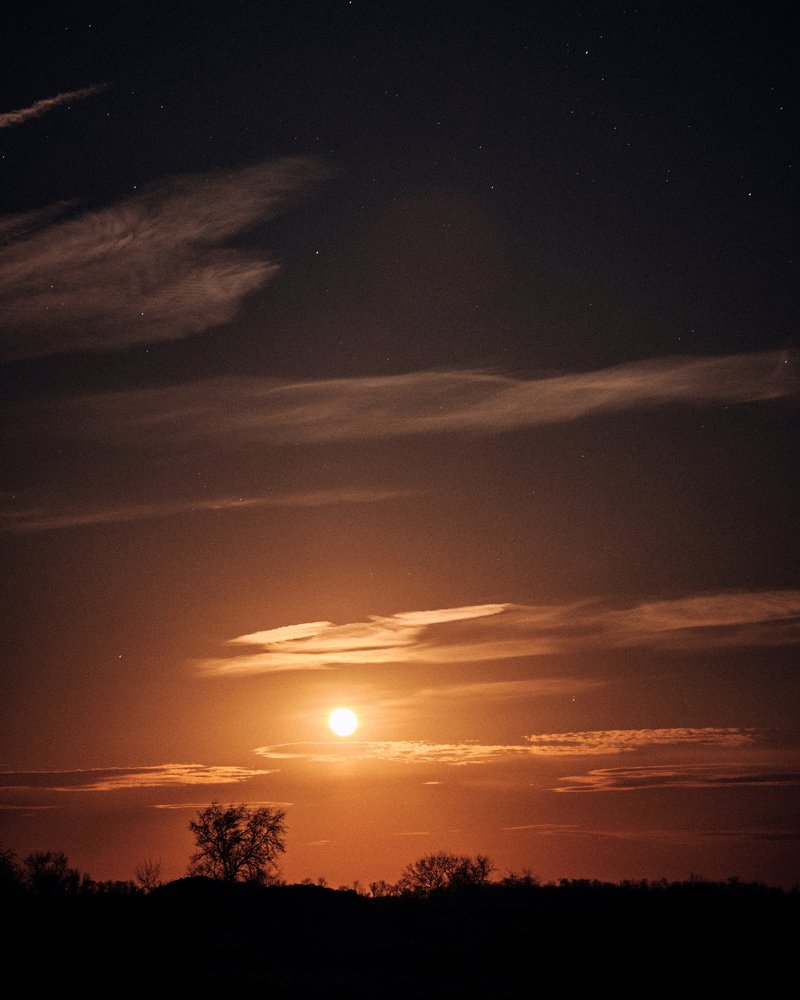 Photograph by Роман Ткаченко