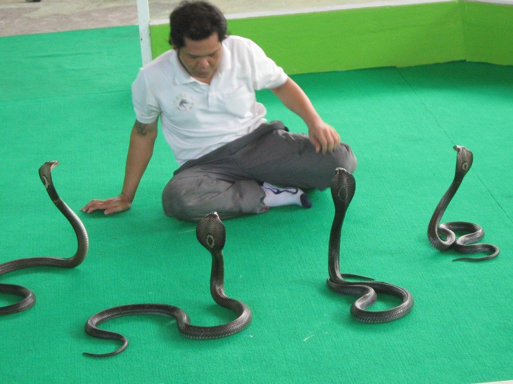 Photograph by Галина