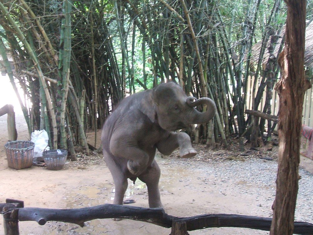 Photograph by Галина