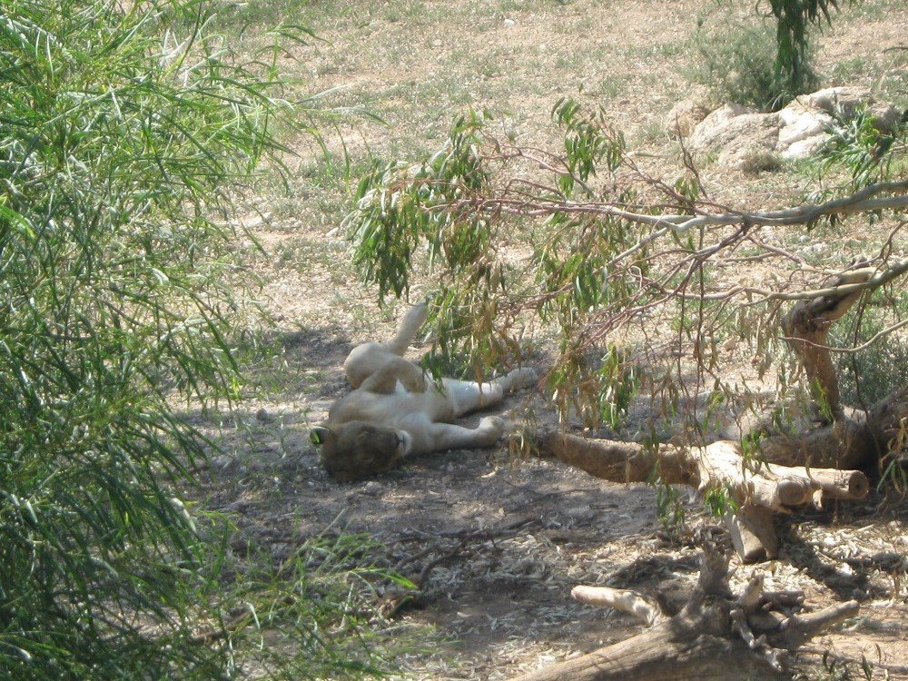 Photograph by Галина