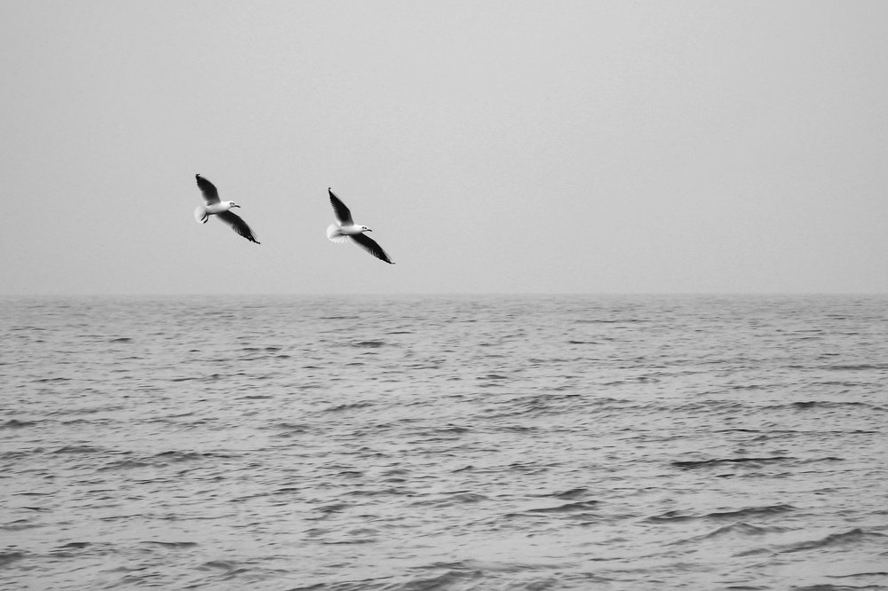 Photograph by Sahar Ghadir