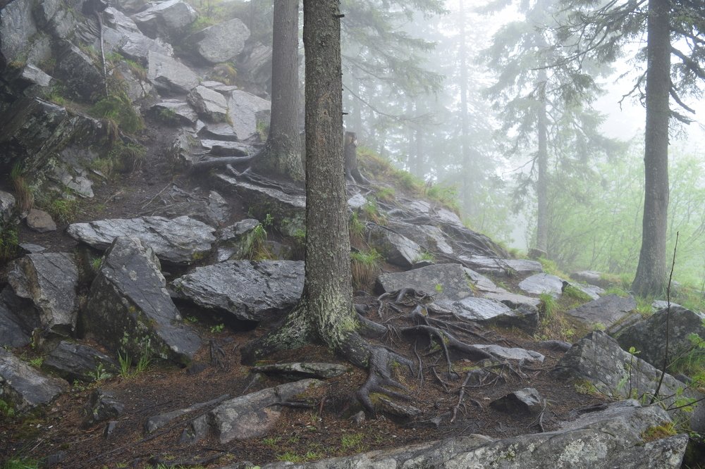 Photograph by Яна Юношева