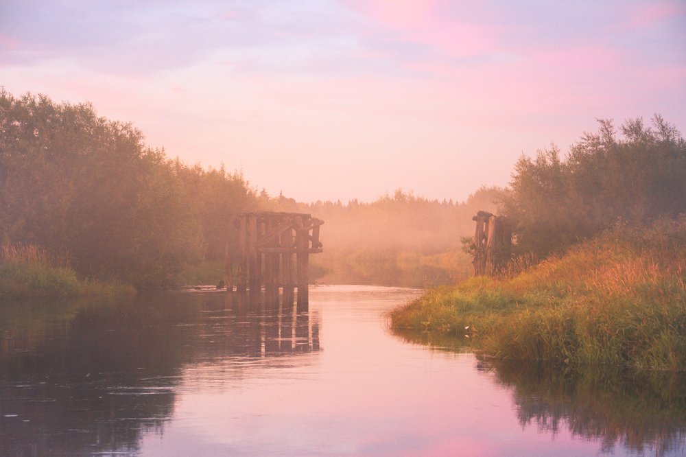 Photograph by Светлана Перминова