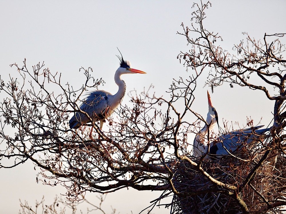 Где деньги,Зин?..