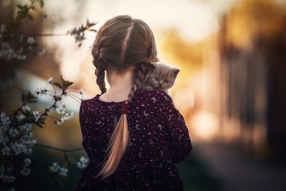 Фотография автора Лилия Немыкина