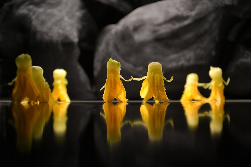 Вальс цветов