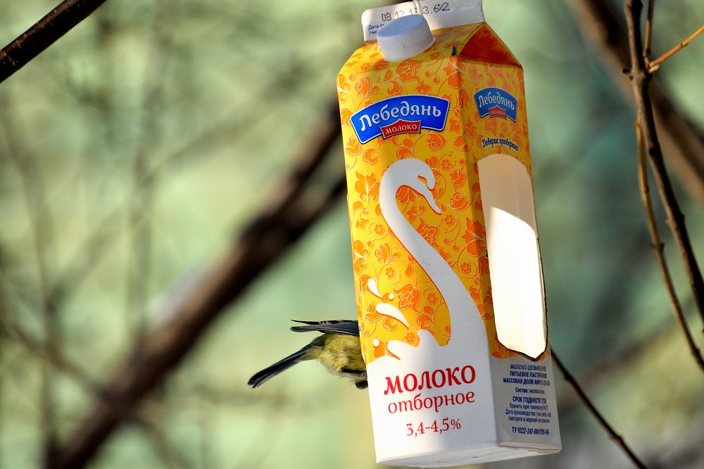 Photograph by Анатолий Хальман