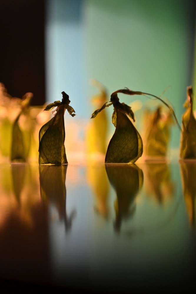 Главные роли