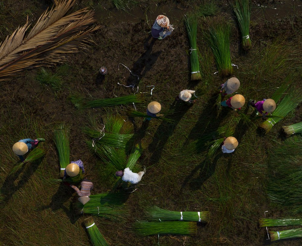 Photograph by Duong Le Thai