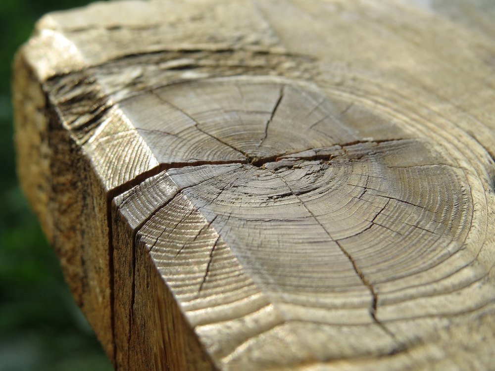 Photograph by Елена Лапина